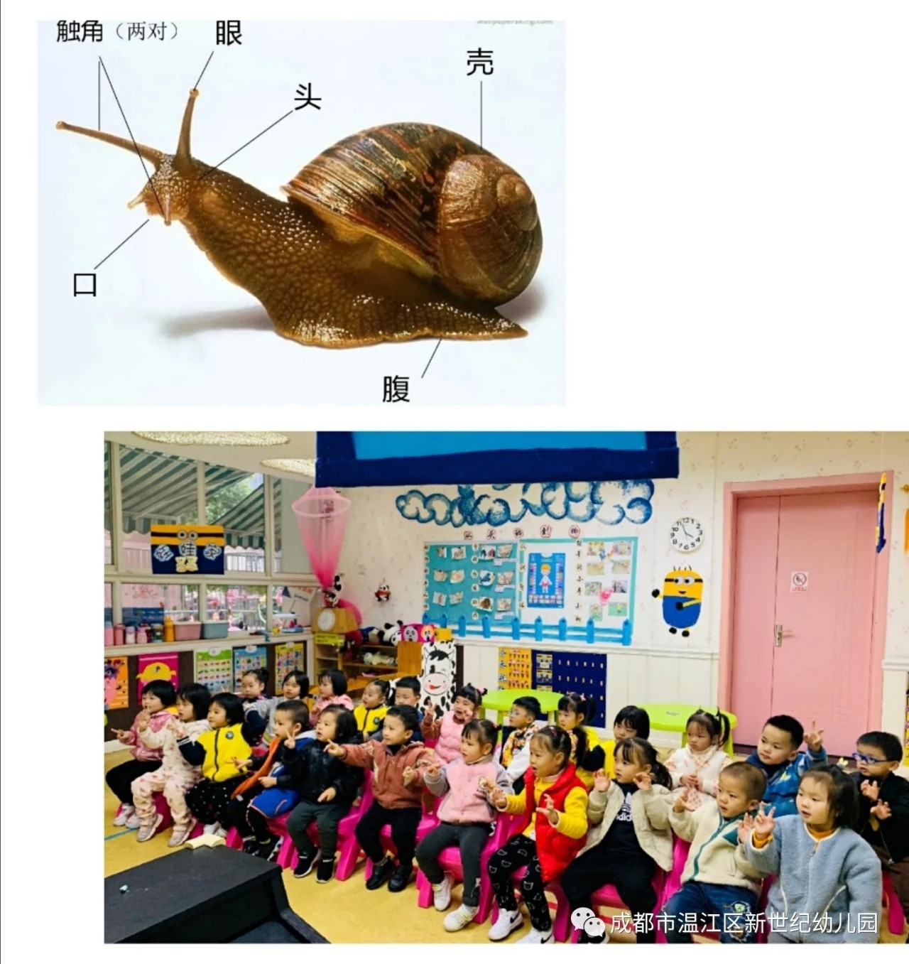 1605082279645433.jpg