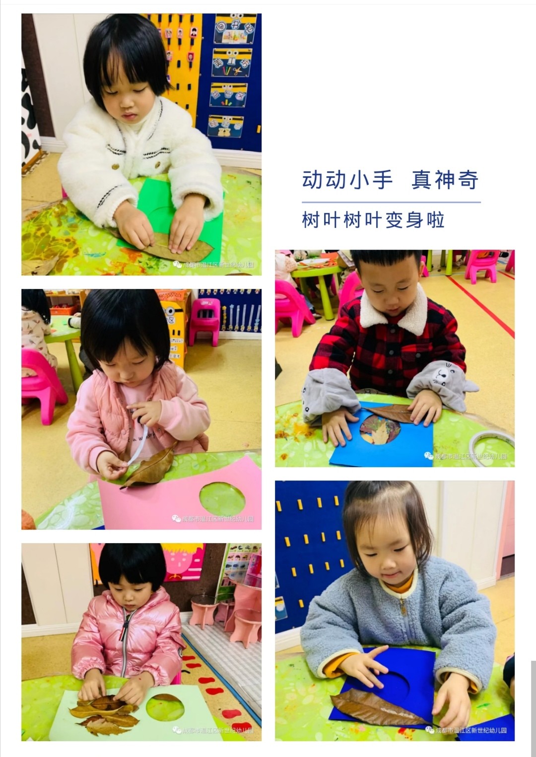 1605082708877331.jpg